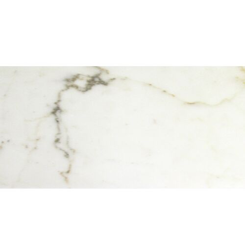 Calacatta Gold Honed 12X24 Honed