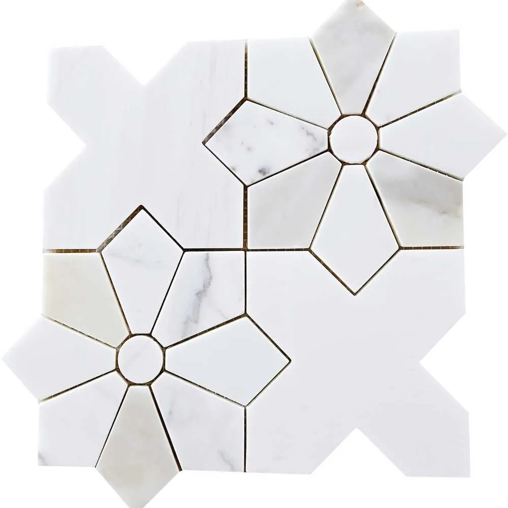 Calacatta Gold / Dolomite Polished 1 Calacatta Gold / Dolomite Polished