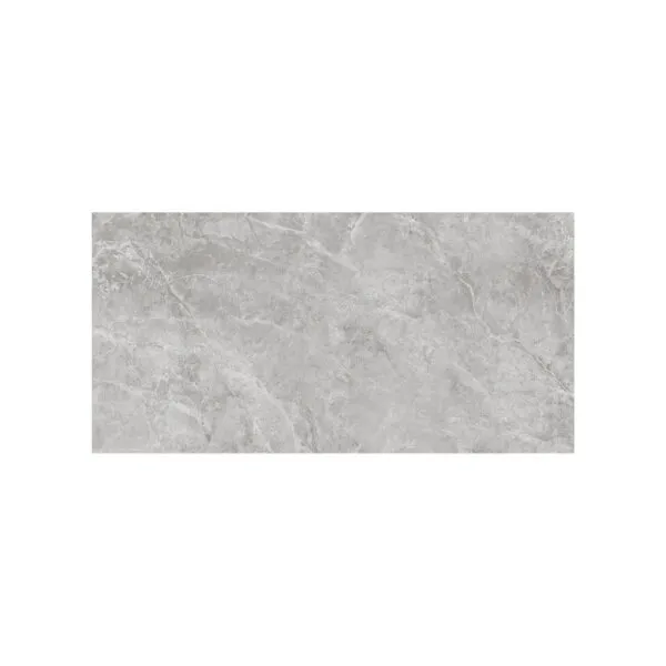 Grigio 24X48 Polished