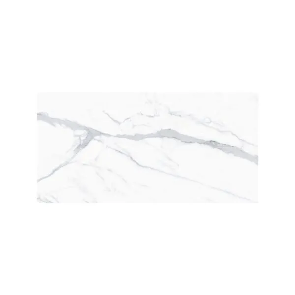 Venato 24X48 Polished