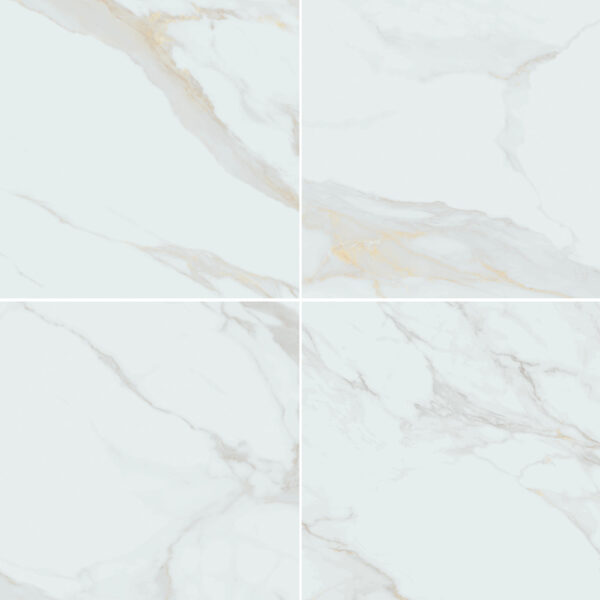 Calacatta Gold 24X24 Matte