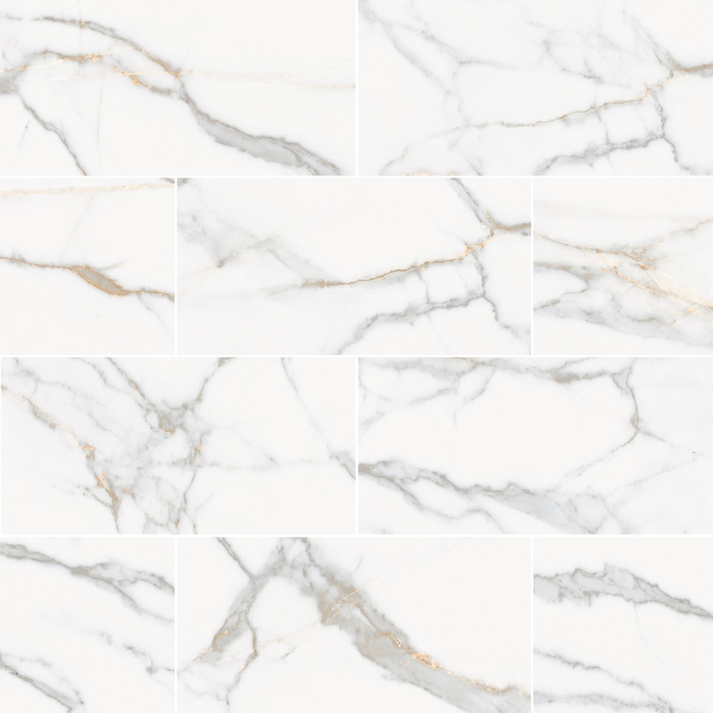 Calacatta 12X24 Matte