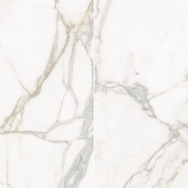Calacatta 24X48 Matte