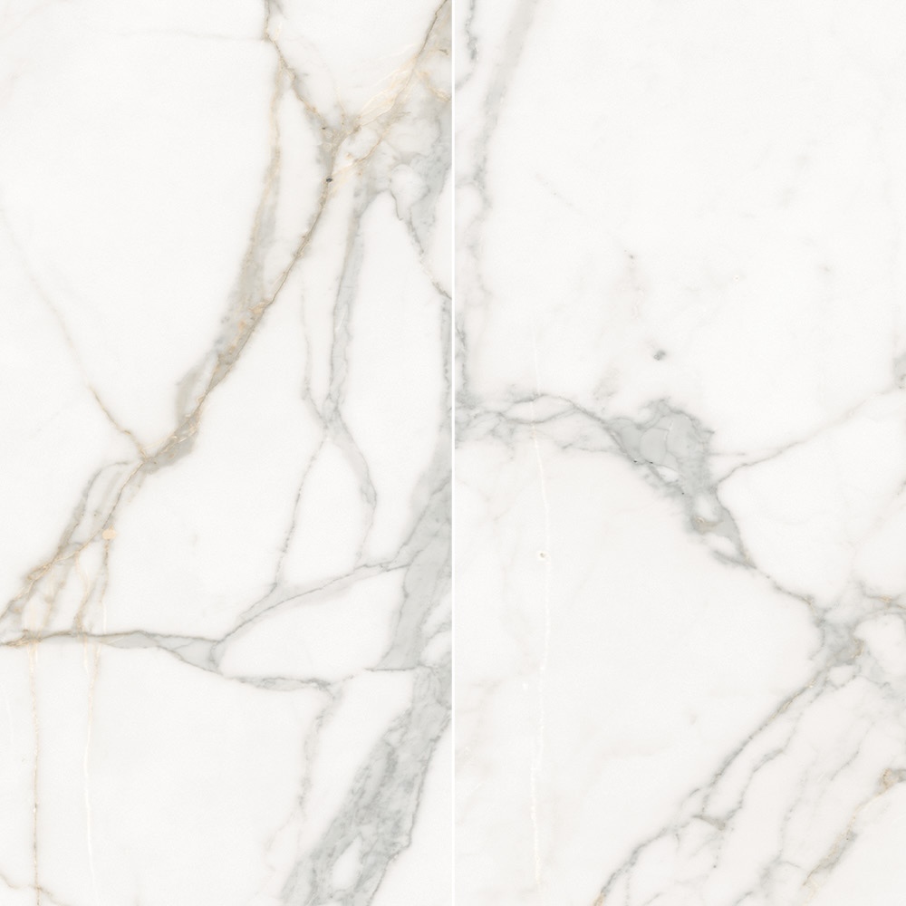 Calacatta 24X48 Matte