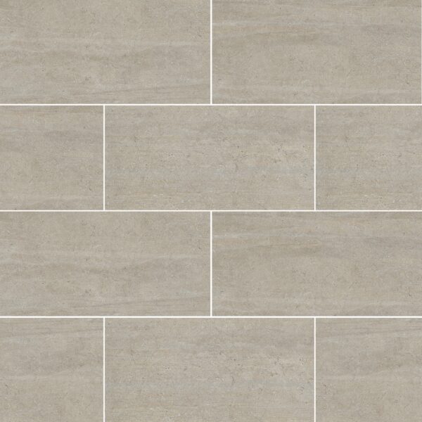 Grey 12X24 Matte