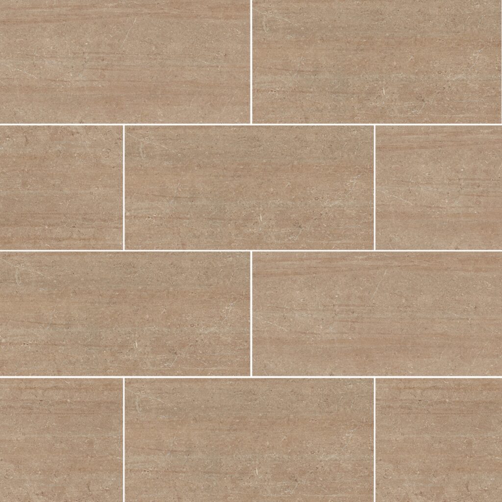 Visone 12X24 Matte