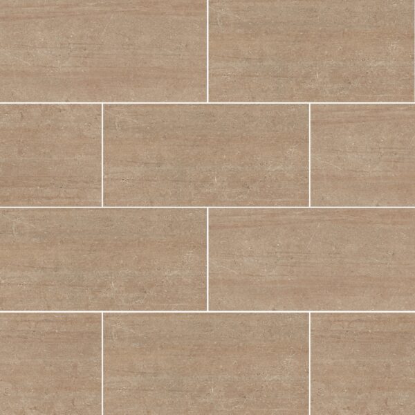 Visone 12X24 Matte