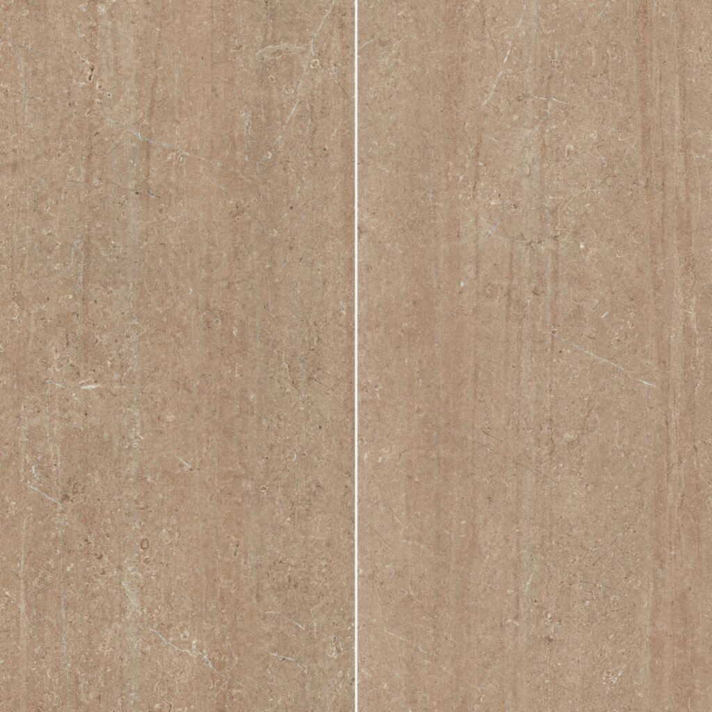 Visone 24X48 Matte