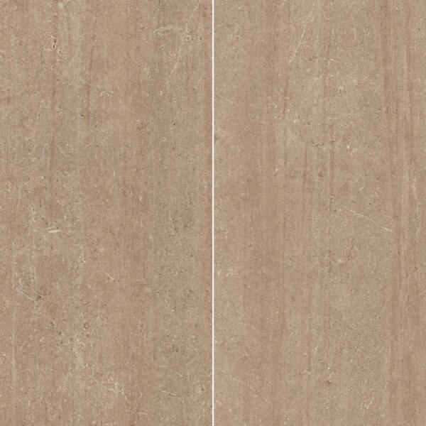 Visone 24X48 Matte