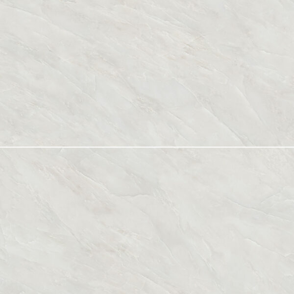 Regal Namibia 24X48 Polished