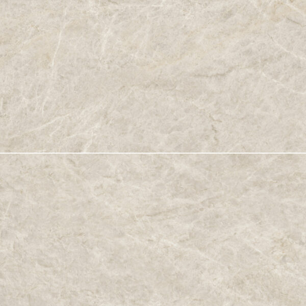 Regal Taj Mahal 24X48 Polished