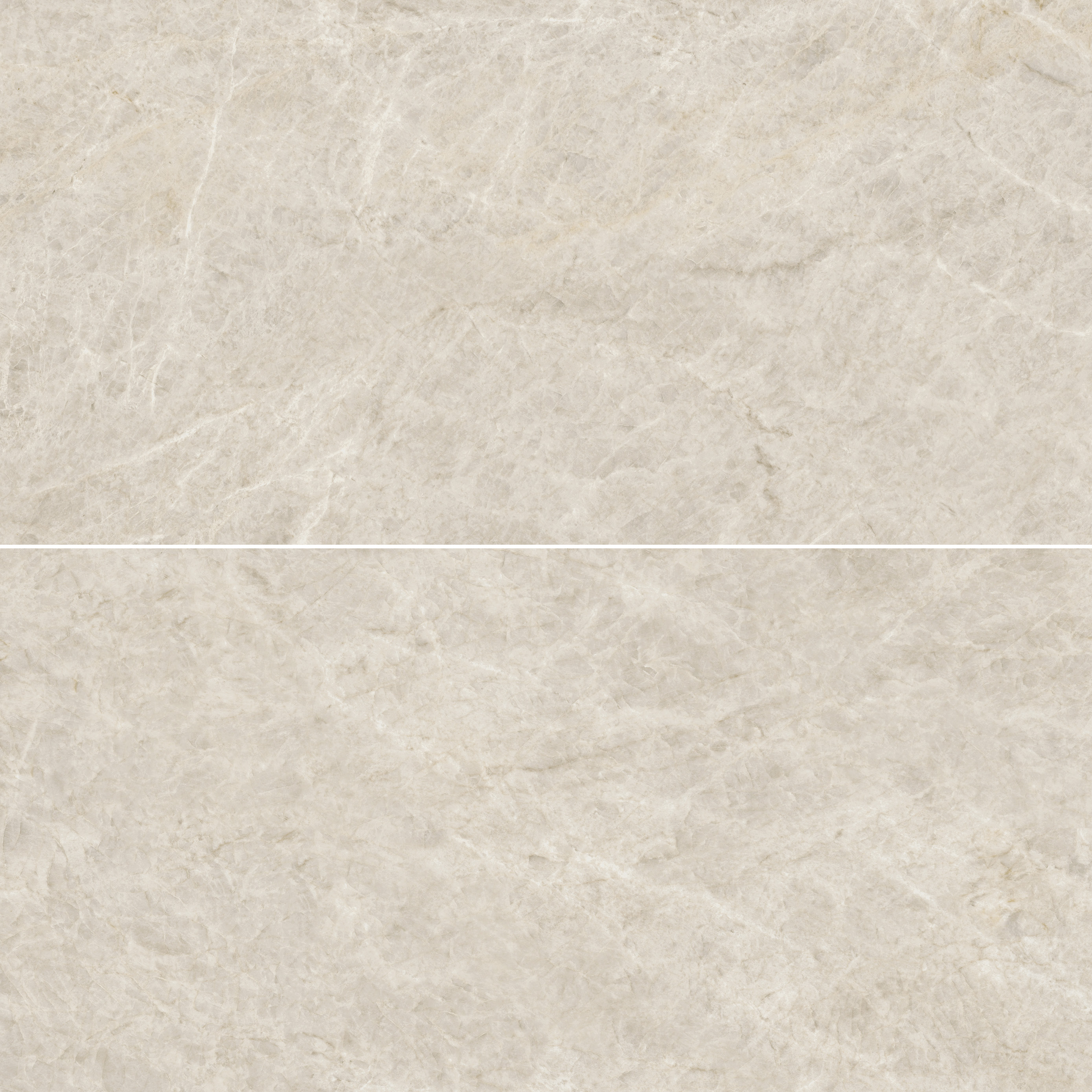Regal Taj Mahal 24X48 Polished